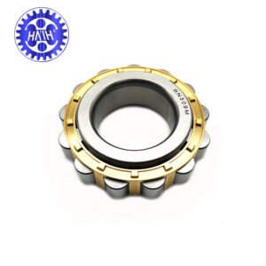RN 309 M HAIH cylindrical roller bearings RN309M
